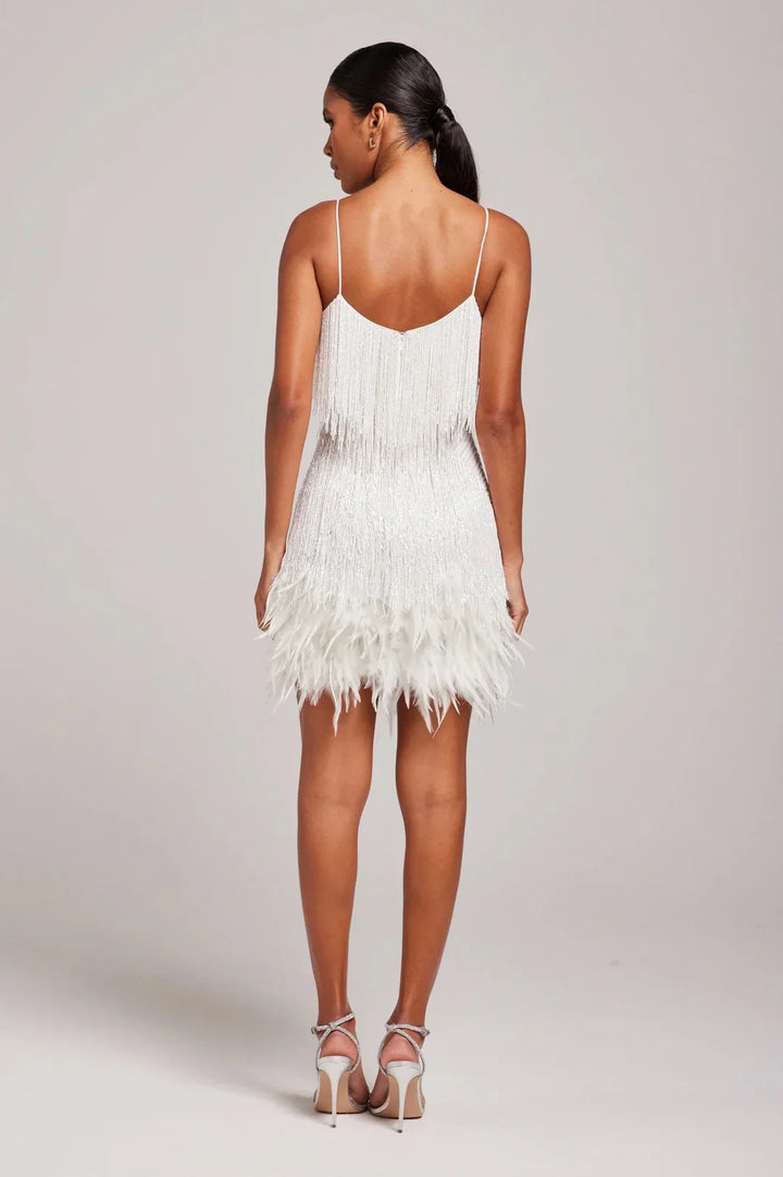 Damen Mini Festliches Kleid mit Fransendetails (4)