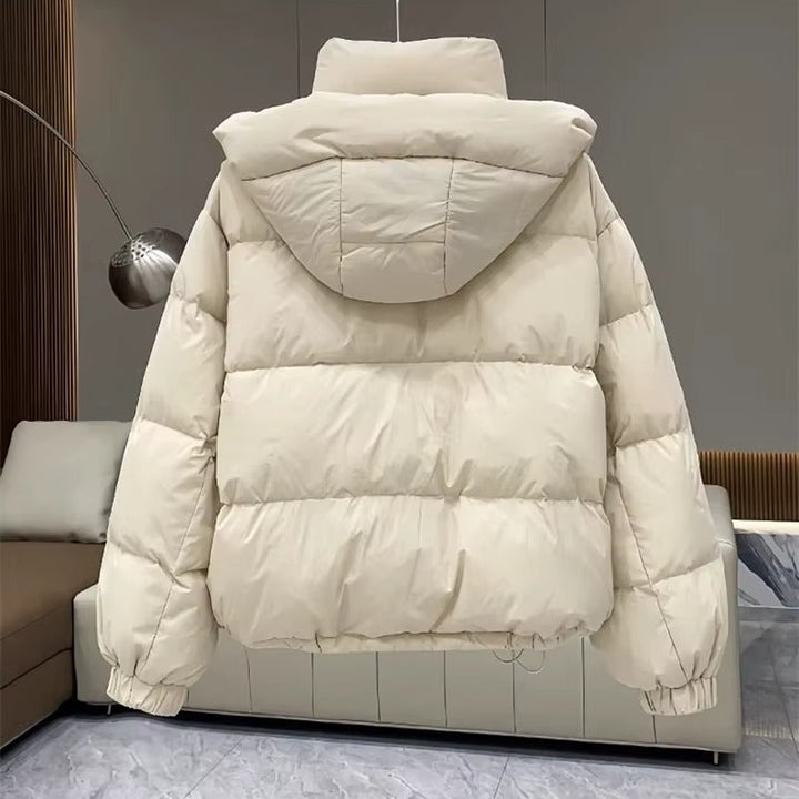 Damen Winterjacke mit Stehkragen und Kapuze (12)