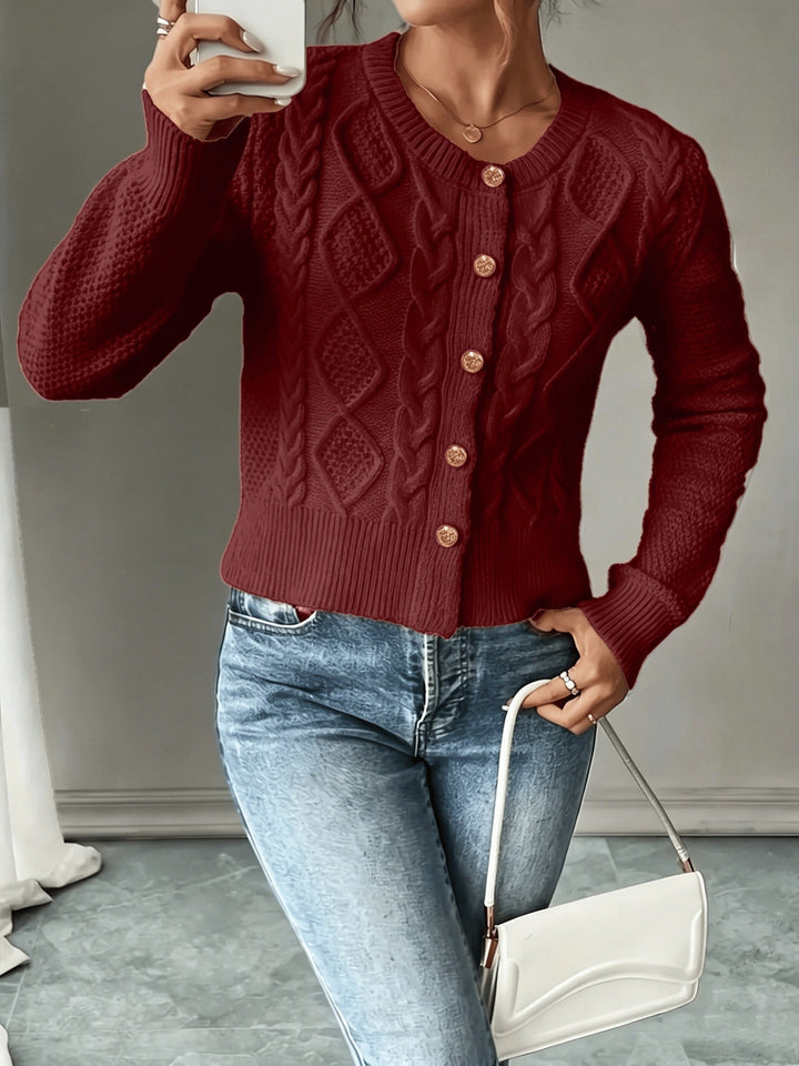 Raffinierte Zopfstrick Cardigan (11)